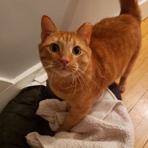 Meet your Posher, Jacquelyn